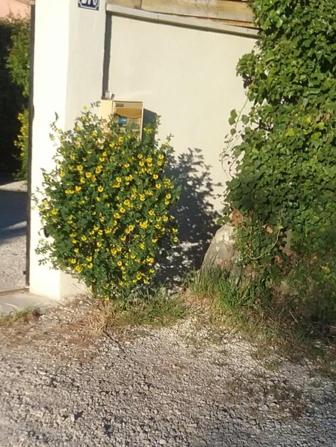 Une Chambre En Ville L'Isle-sur-la-Sorgue Exterior photo